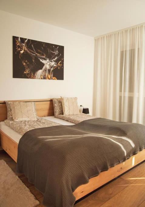 5 Dream Apartment 5 Cu Parcare Privata Oradea Exterior photo