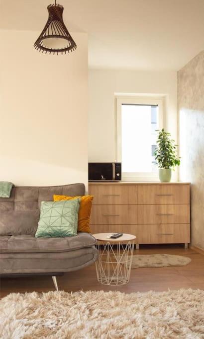 5 Dream Apartment 5 Cu Parcare Privata Oradea Exterior photo